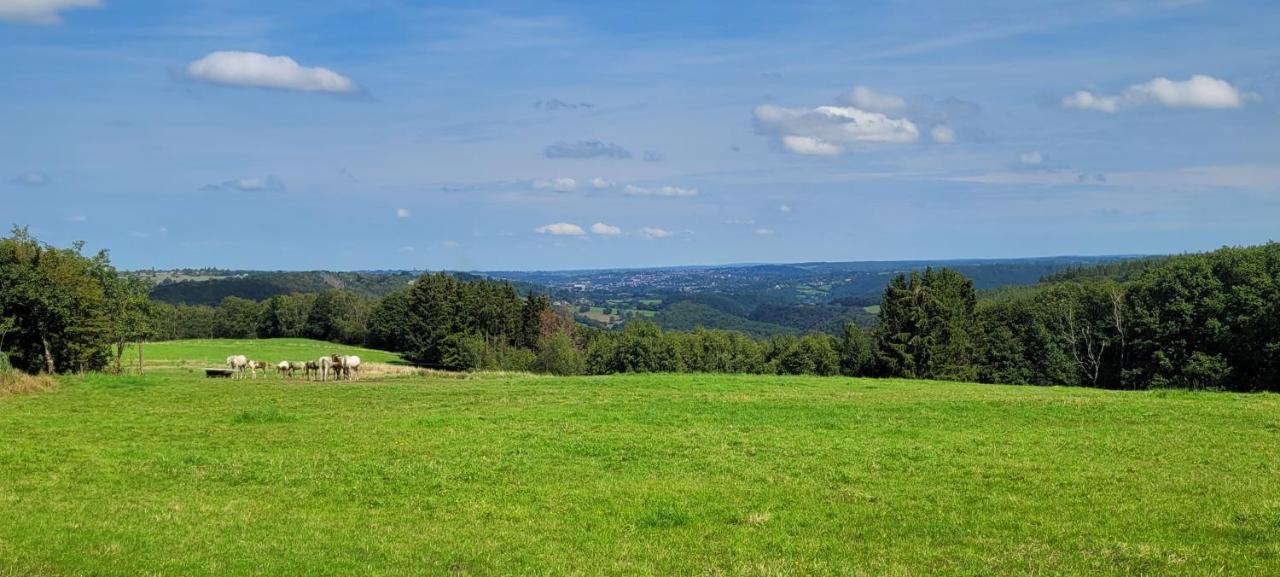 Gite De Trasenster Trooz Exterior foto